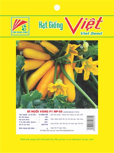 HẠT GIỐNG BÍ NGỒI VÀNG 1G