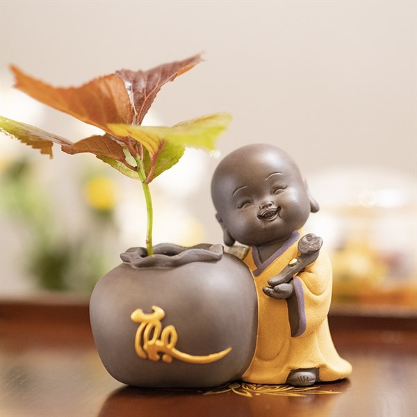 CHẬU CHÚ TIỂU CHỮ THỌ