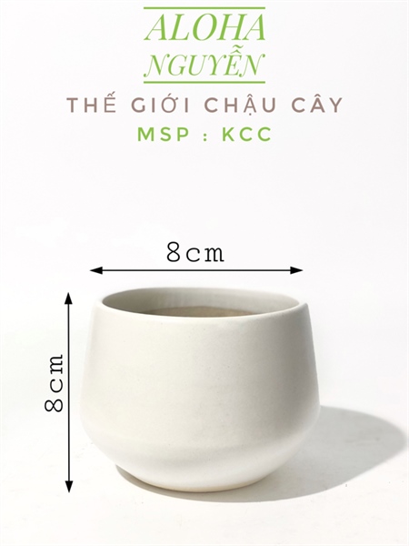 CHẬU KIM CƯƠNG CAO MINI ( CAO8CM X RỘNG8CM)