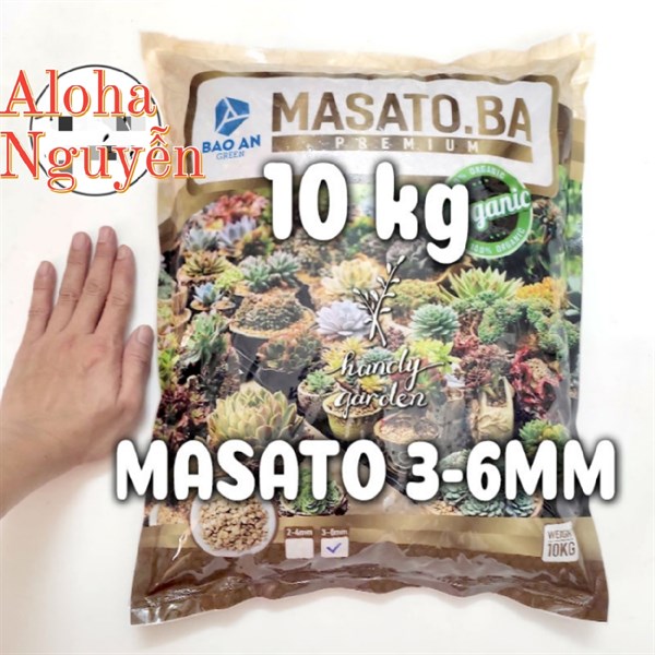 ĐÁ MASATO