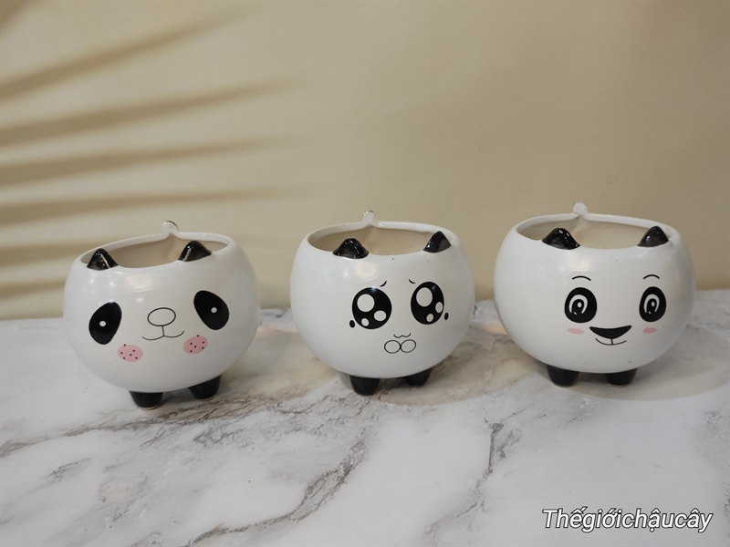 CHẬU GẤU CÓ CHÂN