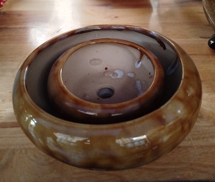 CHẬU BO MEN