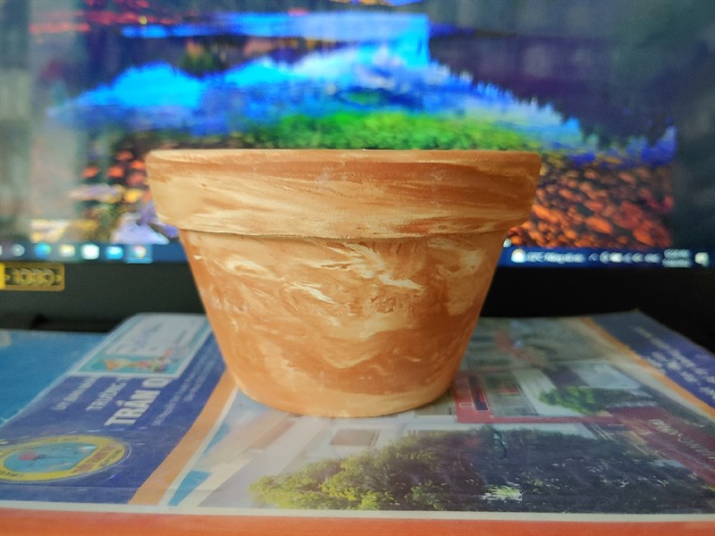 CHẬU LY THAU LỚN ĐẤT NUNG 2 MÀU( CAO7cm X RỘNG11cm