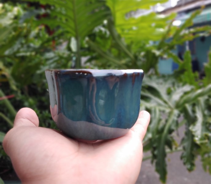 CHẬU BONSAI BẦU (CAO6cm x RỘNG8cm)