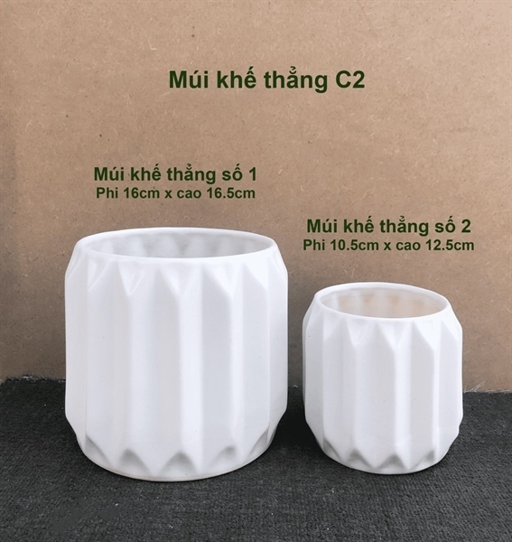 CHẬU TRỤ MÚI KHẾ