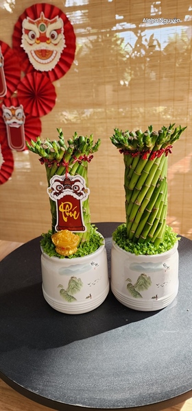 TRÚC PHÁT TÀI XOẮN THÀNH PHẨM (THÙNG 24C)