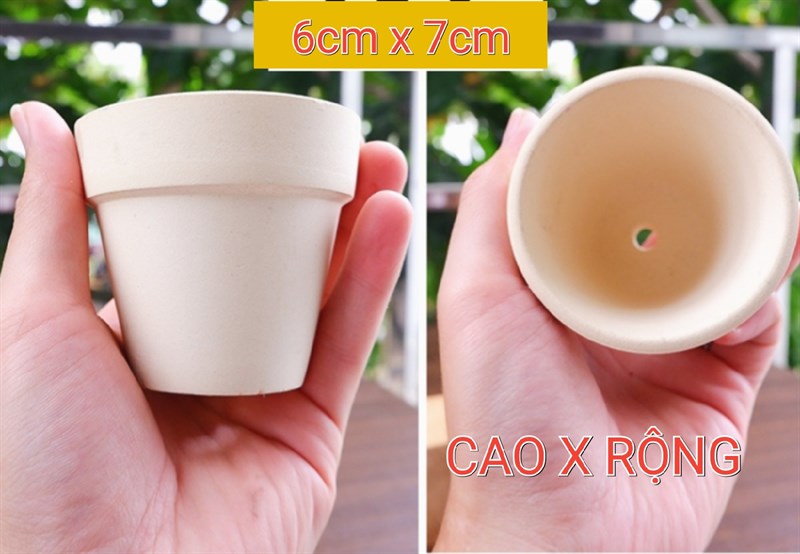 CHẬU LY SỐ 6 ĐẤT NUNG TRẮNG ( CAO6cm X RỘNG7cm )