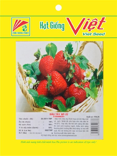 HẠT GIỐNG DÂU TÂY 0.1G