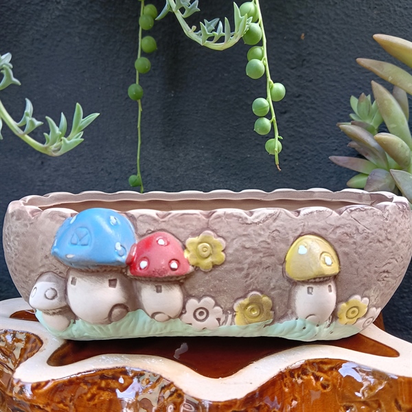 CHẬU NẤM OVAN ( CAO 5CM X 17CM X 7CM )