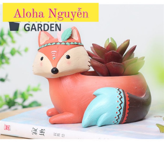 CHẬU CÁO THỔ CẨM