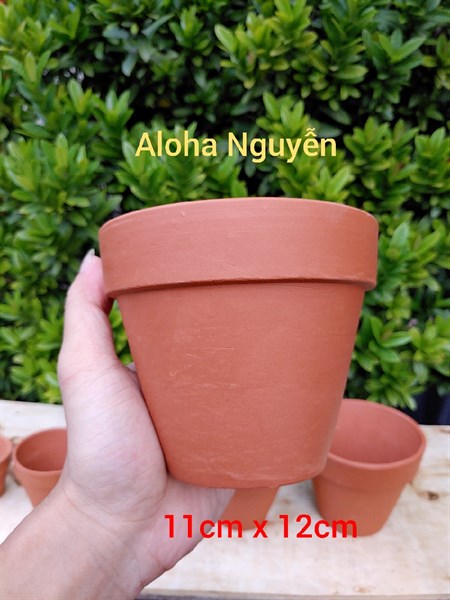 CHẬU LY SỐ 11 ĐẤT NUNG (CAO11CM X RỘNG12CM)