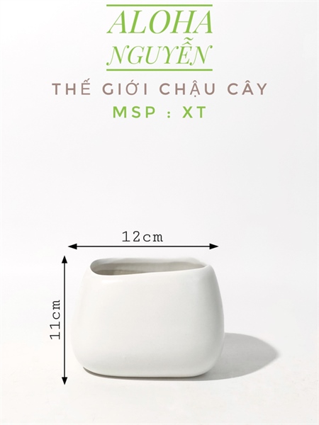 CHẬU XÉO TRƠN ( CAO11cm X DÀI12cm X RỘNG10cm )