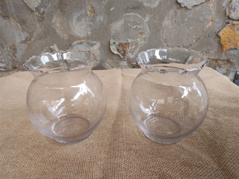 CHẬU THỦY TINH TAI BÈO LỚN ( MIỆNG 12CM X NGANG 13CM)