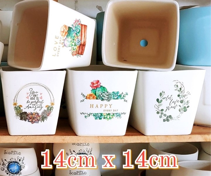 CHẬU TÚM GỐC