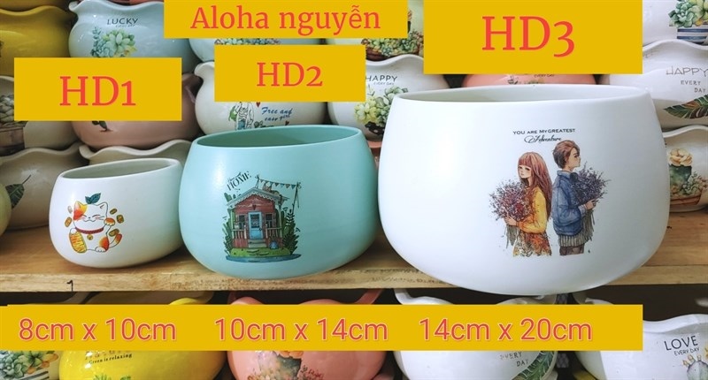CHẬU HẠT DẺ