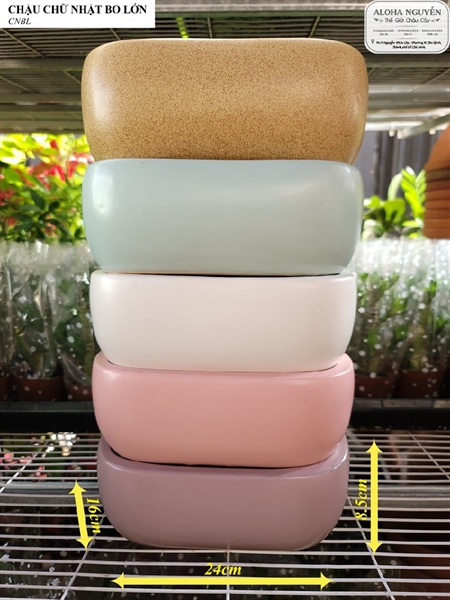 CHẬU CHỮ NHẬT BO NHỎ