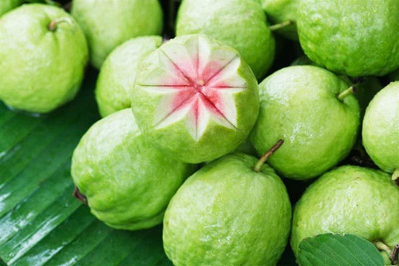 Ổi Tươi グアバ