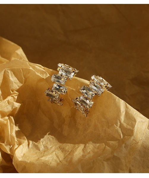 FLAMBOYANT EARRINGS