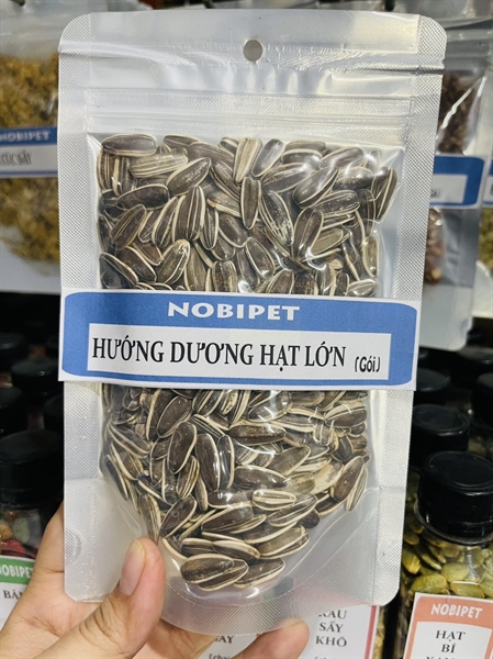 Hướng Dương Hạt Lớn