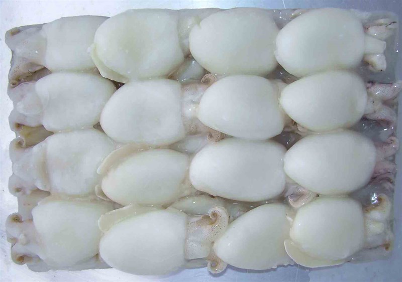 Mực nang nhỏ 80/120 1kg