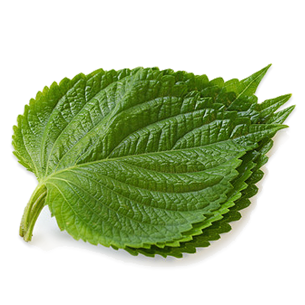 Lá Mè (Đà Lạt) 25g