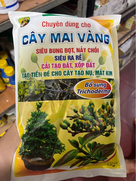 CÂY MAI VÀNG 1KG (T/25KG)