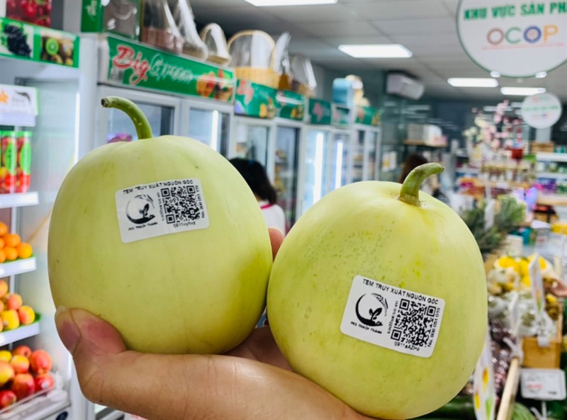 Dưa Lê Bắc Giang