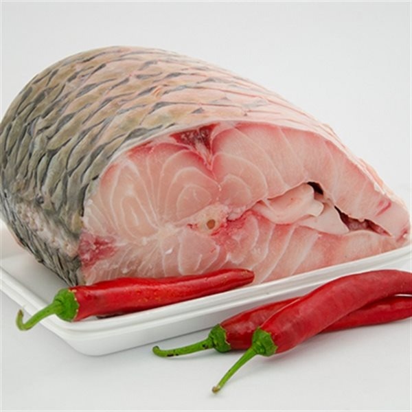 Cá Trắm Trắng Khúc - Sông Đà