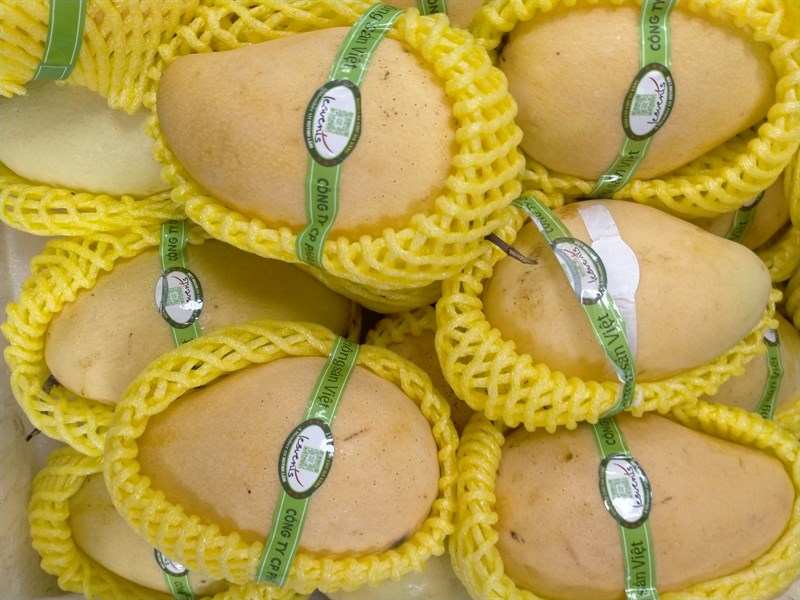 Xoài Cát Chu Huỳnh Lâm