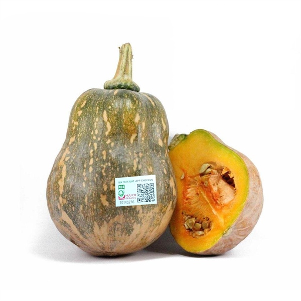 Bí Đỏ Hữu Cơ Pgs
