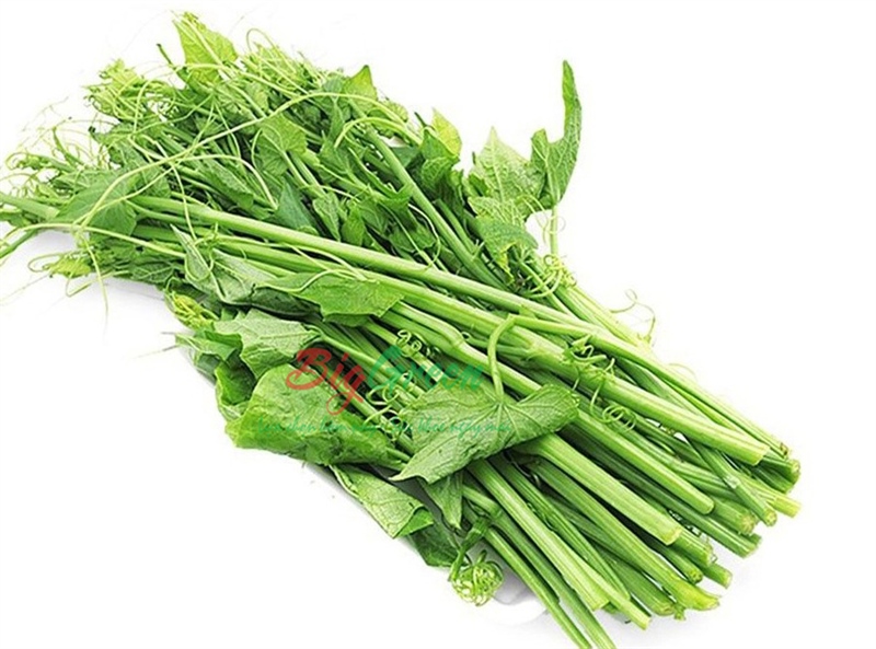 Ngọn Su Su Hữu Cơ Pgs