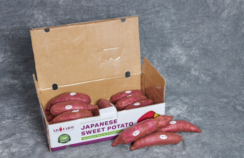 Khoai Lang Nhật - XD Farm