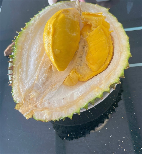 Sầu Riêng Musaking Ông Hoàng