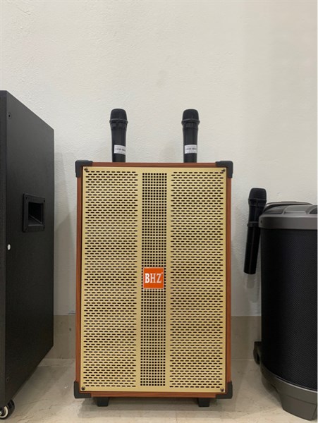 Loa kéo BHZ1208 Bass30 2 mic