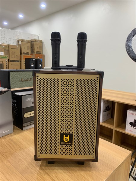 Loa kéo BD-9080 Bass20 1 mic