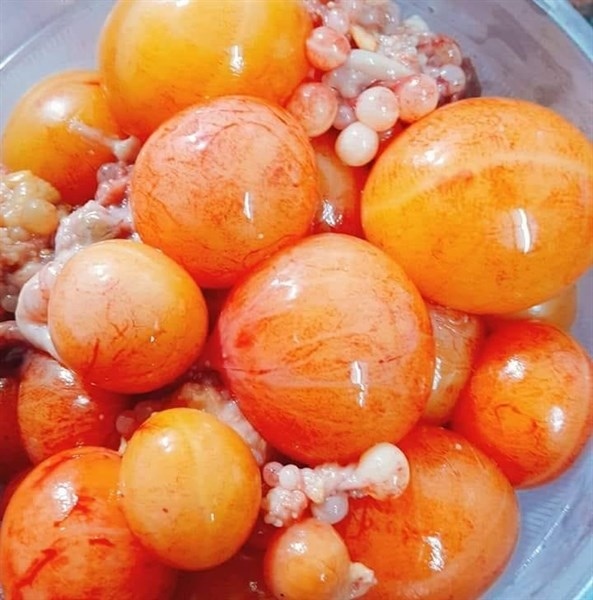 TRÀNG TRỨNG GÀ NON