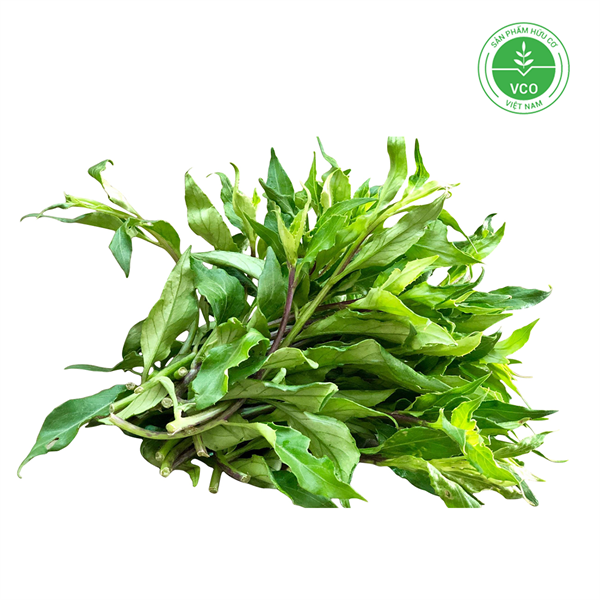 Rau rừng hữu cơ (Rau bầu đất) (Gói 300 g)