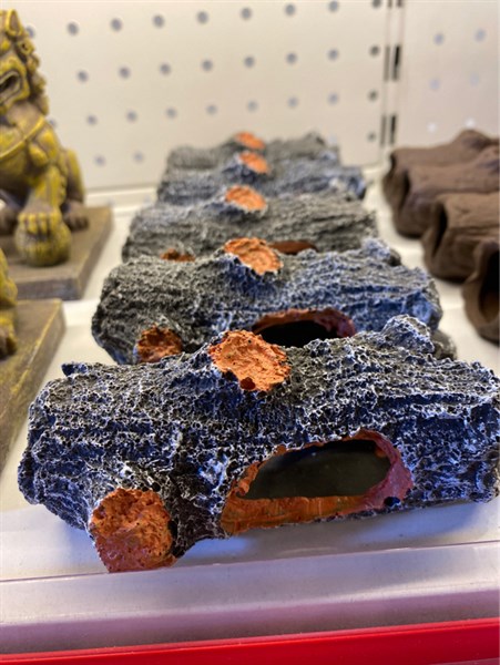 Hang Gốc Cây Nhựa Cam