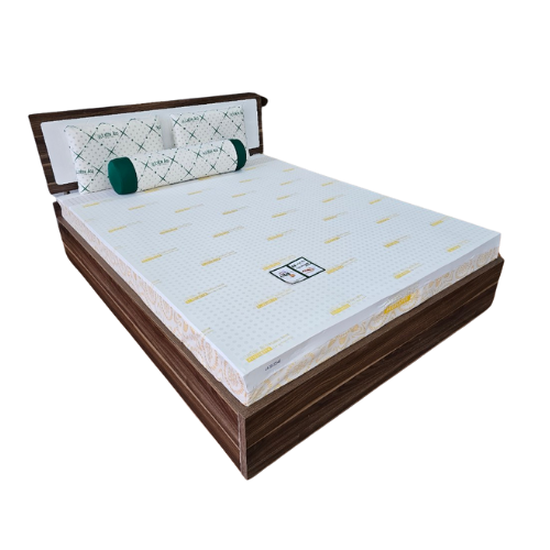 Nệm CS Liên Âu PLUS LATEX (2 lổ tròn )