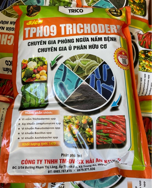 VT - Trichodema-duoc-ban-tai-Chợ gốm Bảo Lộc