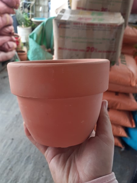 Chậu G Mập 12*10-duoc-ban-tai-Chợ gốm Bảo Lộc