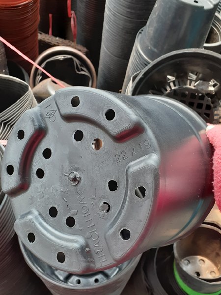 Trạch Hoa 22×19-duoc-ban-tai-Chợ gốm Bảo Lộc