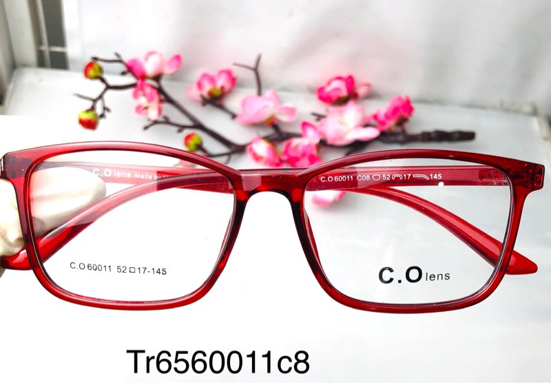 Gọng nhựa TR45 mã 60011