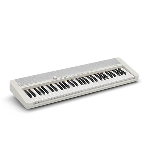 Đàn Organ Casio CT-S1