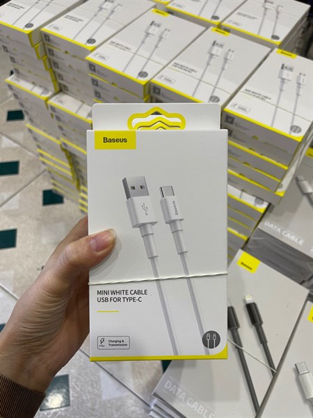 Cáp sạc BASEUS Type-C CATSW-02 1m