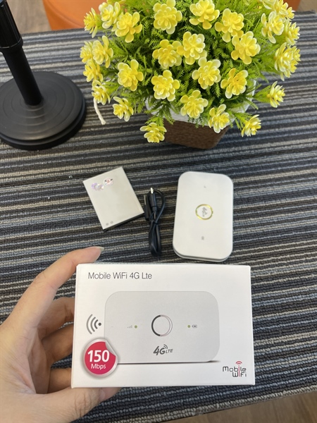 Bộ phát WIFI 4G D248