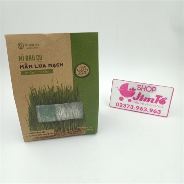 MÌ ANPASO RAU CỦ VỊ MẦM LÚA MẠCH 300G