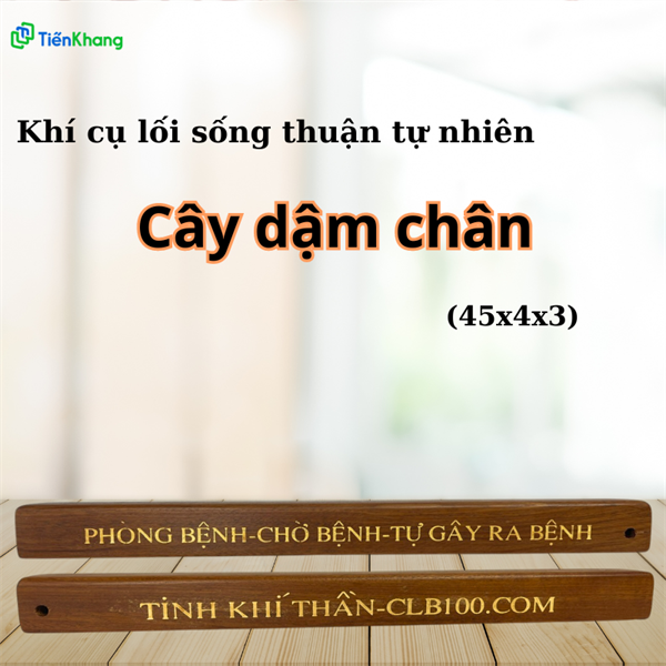 Cây dậm chân (45x4x3)