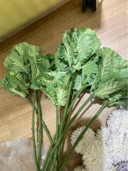 BẮP CẢI