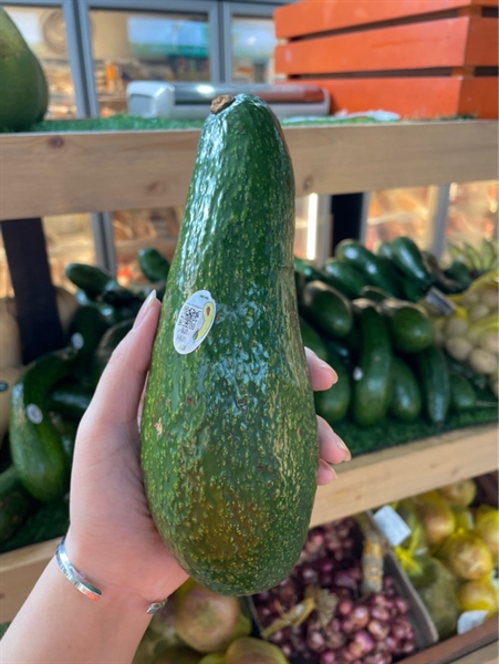 Bơ 034 Lâm đồng